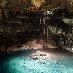 4: Valladolid og cenotes